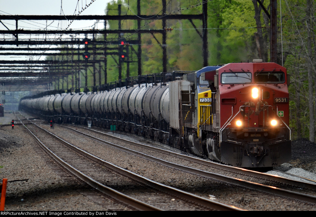 CP AC44CW 9531 leads K048-05